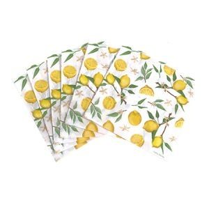 Servilletas Limones x 20u DSE024