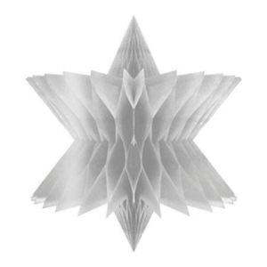 Decoración Estrella Plata 20cm GUPL04