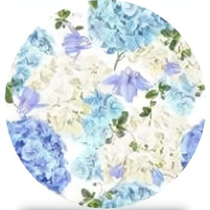 Plato de Sitio Hortensias x20 unidades