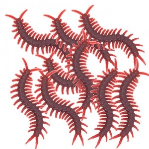 Set de Ciempies x 12u HD427