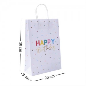 Bolsa Puntos Multicolor x 6un 20x30x9cm BO10