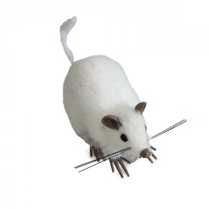 Rata Blanca  8x12x6  HD602