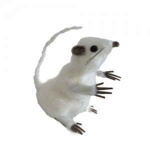 Rata Blanca Parada 13x7x9  HD603