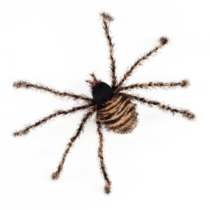 Tarantula Cebra HD621