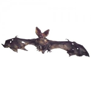 Murcielago Apolillado 56x23x3 HD623