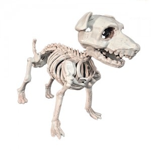 Perro Esqueletico 26x10x13  HD745