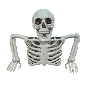 Torso Jugueton 40x19x27 HD747