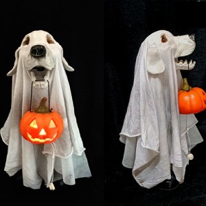 Guardian Fantasmal con Luz 55x21x20  HD749