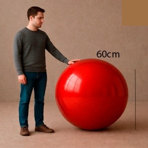 SHINY Roja  0,60cm BSROXXS