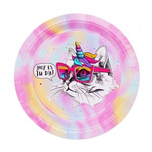 Plato Gatita Arco Iris x 6un  DPC108