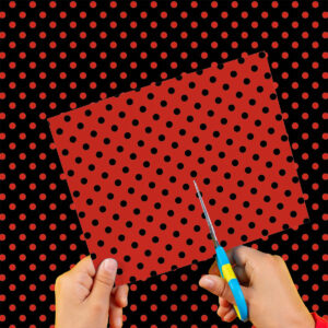 Cartulina Lunares Rojo-Negro 50x65cm  x 10un EI2602-41