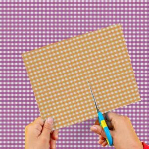 Cartulina Cuadrille Naranja-Violeta 50x65cm  x 10un EI2603-41