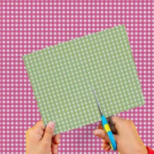 Cartulina Cuadrille Verde-Fucsia 50x65cm  x 10un EI2603-51