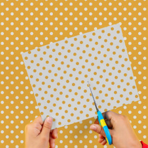 Cartulina Lunares Naranja-Blanco 50x65cm  x 10un EI2602-9