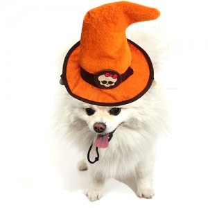 Disfraz Sombrero Brujas p/mascotas DOG16